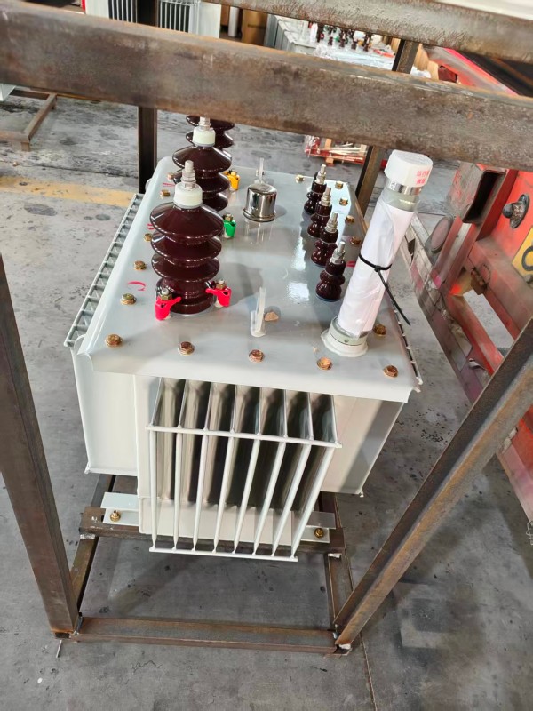 S13‑1000kVA <a href='https://xinx.xdbyq.cn/youjinshi/' target='_blank' title='莘县油浸式变压器'><strong>莘县油浸式变压器</strong></a> 大型厂区 S13 莘县莘县莘县油浸式变压器 S13‑1000kVA 莘县莘县莘县油浸式变压器 大型厂区 S13 莘县莘县莘县油浸式变压器